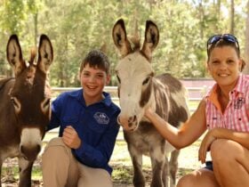 Milo and Mocha are Miniature Donkeys, who love having their photo taken.