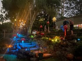 Faerie Lights