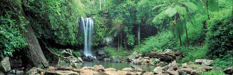 Waterfalls cascading into pool, Tamborine National Park