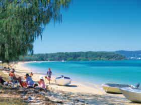 Faily sits in shad eoni beach near blue water and forested headland in distance..