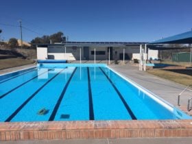 Texas Swimming Pool