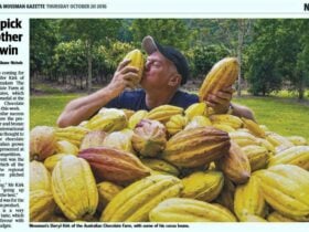 write up local paper