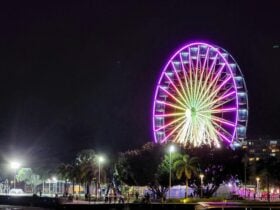 A beautiful night on the Cairns Esplanade.