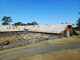 The Woolshed