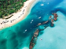 Birds Eye Wrecks