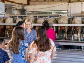 Milking Demo