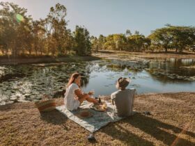 A picnic by the main lagoon, surrounded by diverse bird species and other wildlife