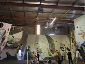 The Climbing Gym Space