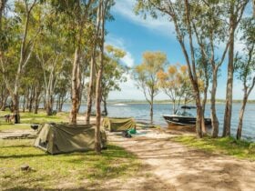 Swags in Washpool Camping Reserve at Lake Leslie