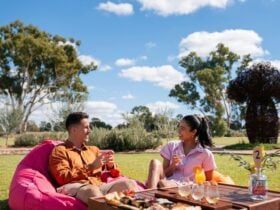 Guests enjoy a grazing platter, cocktails and tasting paddle on the lawn