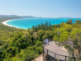 People on a hilltop lookout point overlooking the trees, long stretch of white sandy beach and ocean