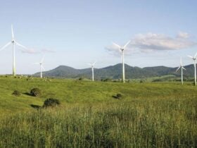 Windy Hill Wind Farm, Ravenshoe