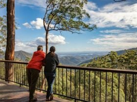 A middle aged couple leaning on a Lookout guardrail viewing the mountain ranges