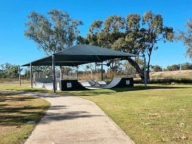 Image of the Yelarbon Skate Park ramps