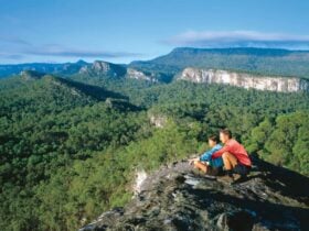 Carnavon Gorge