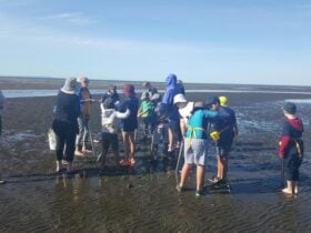 One of the fun activities