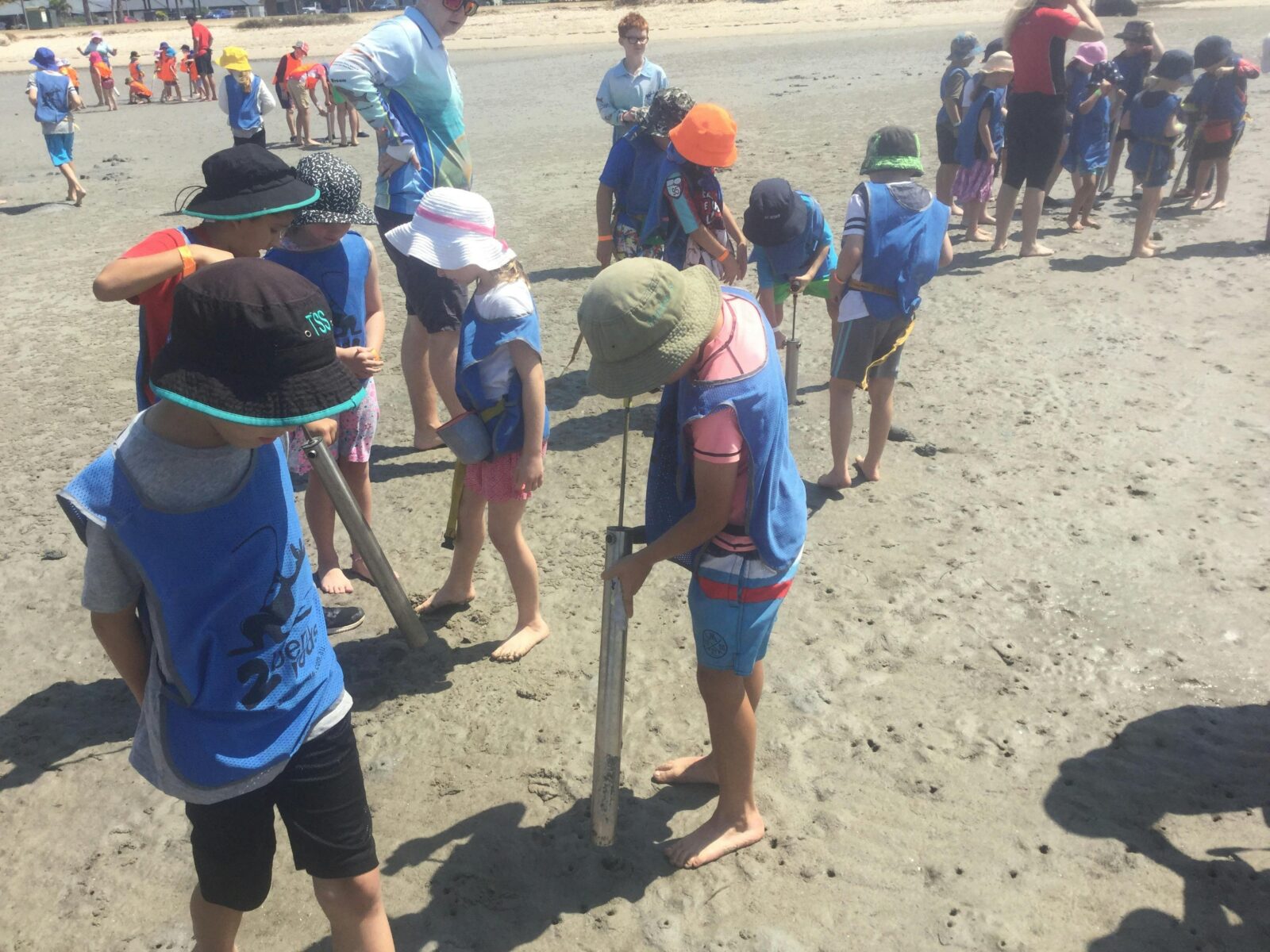 Yabby pumping fun at Wynnum