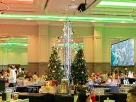 Christmas Lunch at Pullman Cairns International