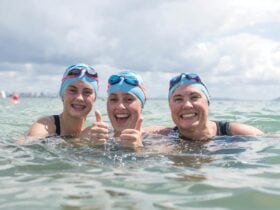 Moo Swimmers