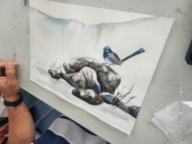 Blue bird searching.