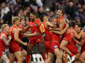 GC SUNS