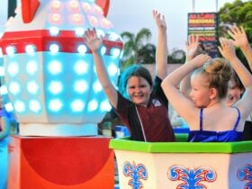 Super Slide and Tea cups, Inflatables and More