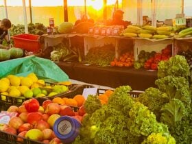 Fresh food and sunrise
