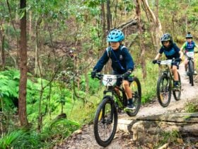 3 kids riding mountain bikes on a kids suitable trail