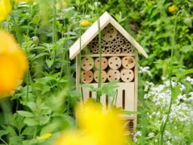 Home-made house-shaped beehive in garden.