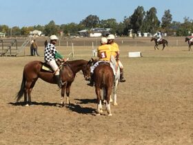 Polocrosse