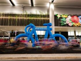 Brisbane Cycling Festival returns in 2026.