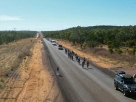 Cairns to Karumba Bike Ride