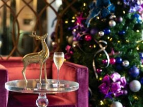 Christmas decorations in the hotel lounge with a glass of Champagne