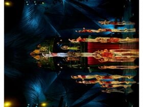 Cirque du Soleil show