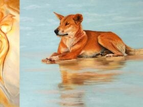 painting of dingo resting in shallow water