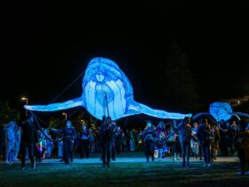 Large whale light installation being carried