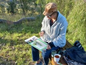 Deb Mostert - En Plein Air