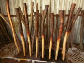 Didgeridoo Making workshops at the didgeridoo Camp