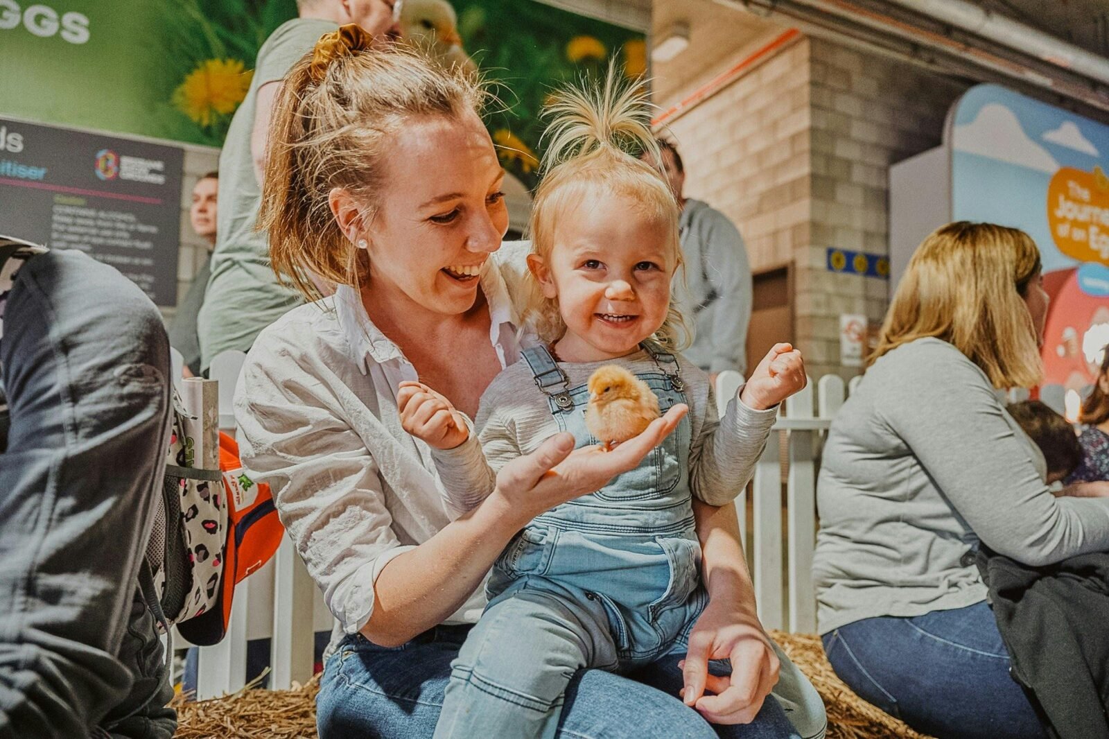 Child holding baby chick