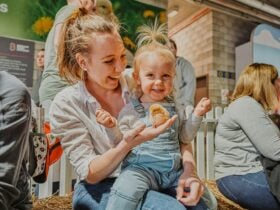 Child holding baby chick