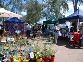 Fernvale Country Markets