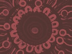 First Nations Women UNLIMITED Summit