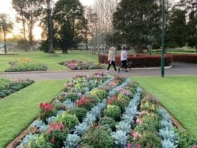 A garden bed full of colourful flowers, two walkers and a dog in the background
