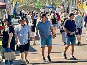 WBHS26-Event-Listing-Website-Image-3