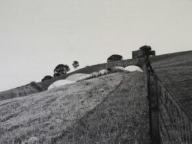 Image credit: Amanda Ivy Gardner, I used to be a mountain, 2025. Hand-cut photographic print on rice