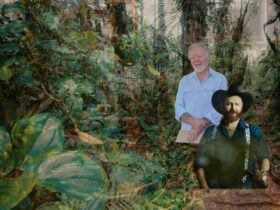 Kevin Ahearn and Robert Wilson