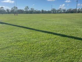 The football grounds where the event will be held