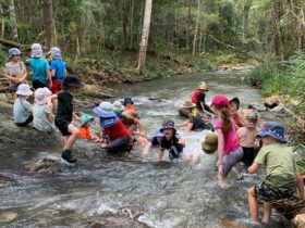 Children playing in creek at Birdwings Forest School Kids Holiday Nature Adventures Gold Coast Hinte