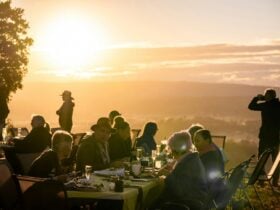 Sunrise at the Avocado Tree Farm