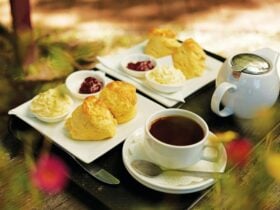 Homemade scones with jam and cream